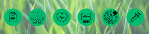 Read more about the article Services Infirmières